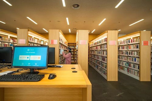 数字文化创意软件开发 发车即“真香”的未来风向